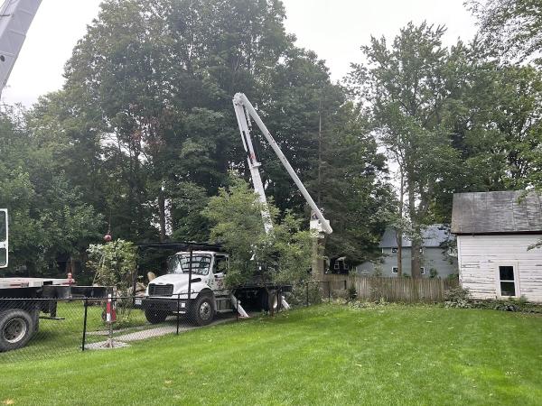 Wade's Tree Service