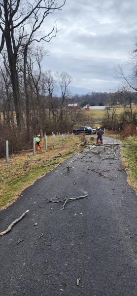 Alexander Tree Service