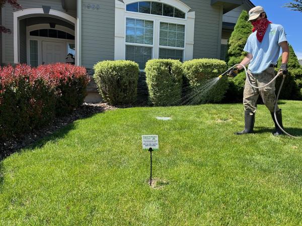 Clean Air Lawn Care- Lawn Maintenance Louisville