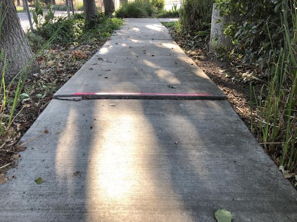 Bay Area Trip Hazard
