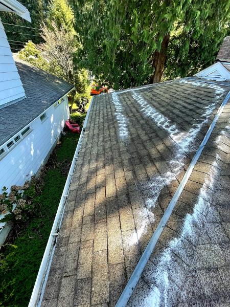 Bellingham Window and Gutter Cleaning Service