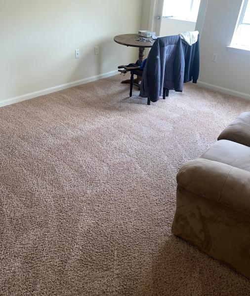 Team Clean Elite Carpet Cleaning
