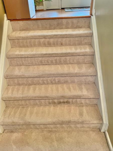 Team Clean Elite Carpet Cleaning