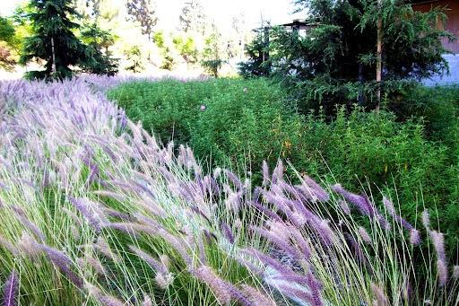 Benchmark Landscaping Co