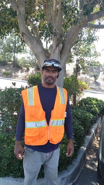 Benchmark Landscaping Co