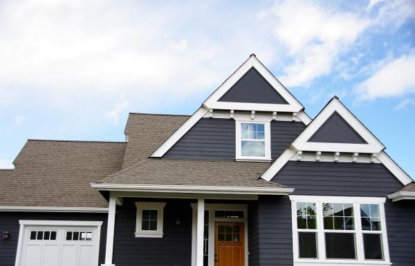 Patriot Painting Professionals Inc