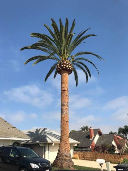Coastal Arbor Tree Service Inc