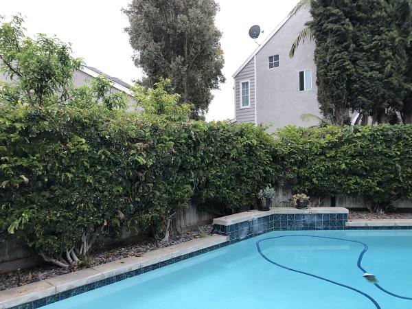 Coastal Arbor Tree Service Inc