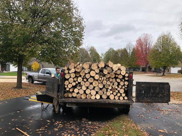 Treesnomore.com