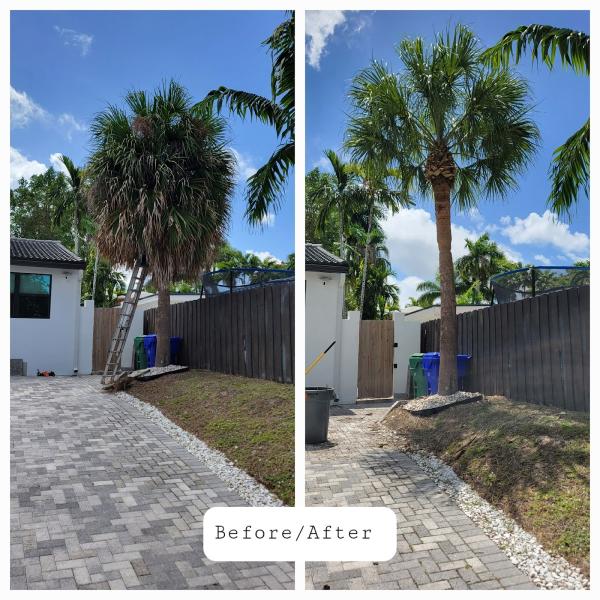 Blossom Landscaping and Design