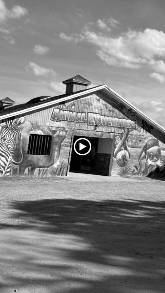 Gator Dumpster Rentals & Junk Removal Services