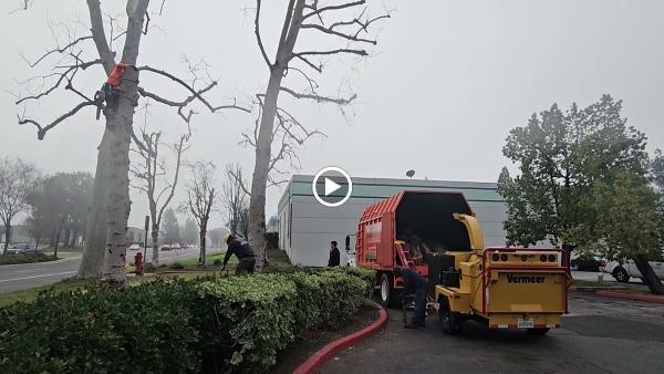 Francisco Garcia Landscaping and Tree Service