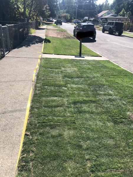 Premium Landscape Services