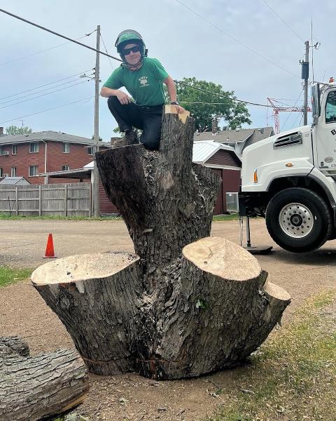 Bratt Tree Company