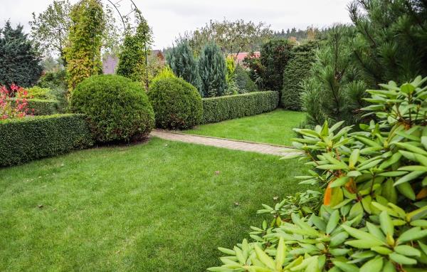 Fairway Lawn Services