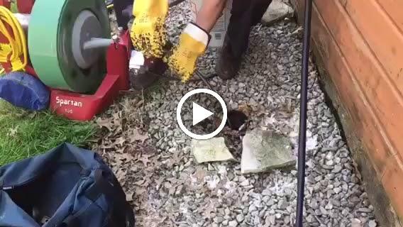 Eco Plumbers
