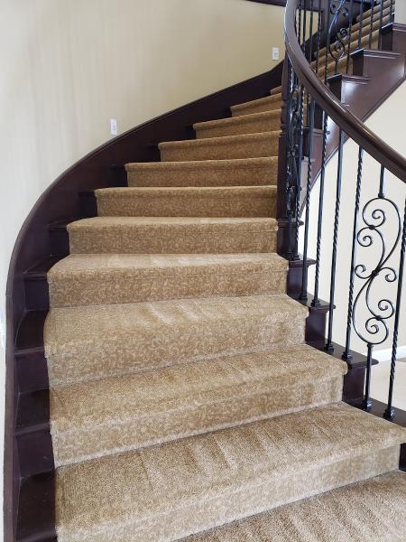 Steve's Carpet Care