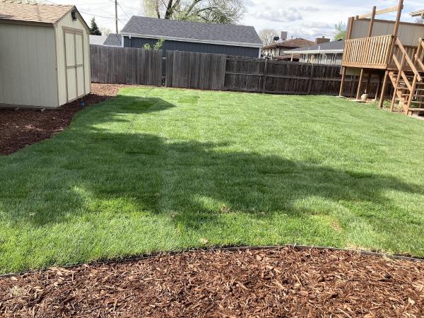Acme Lawns
