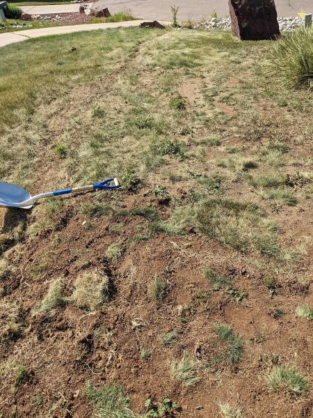 Acme Lawns