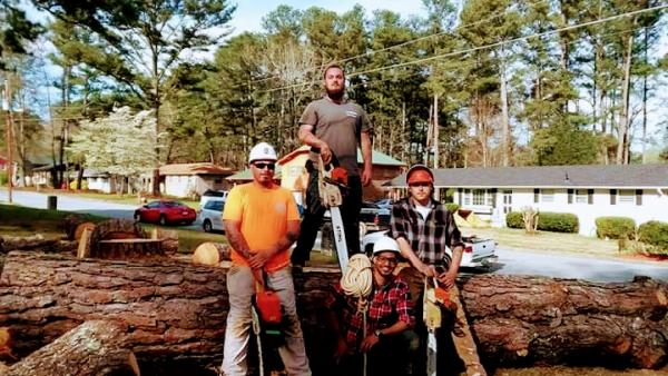 Lumberjack Tree Experts