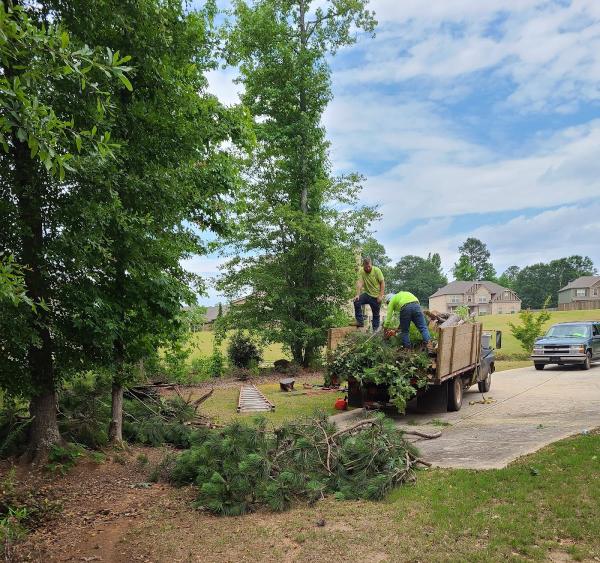 Lumberjack Tree Experts