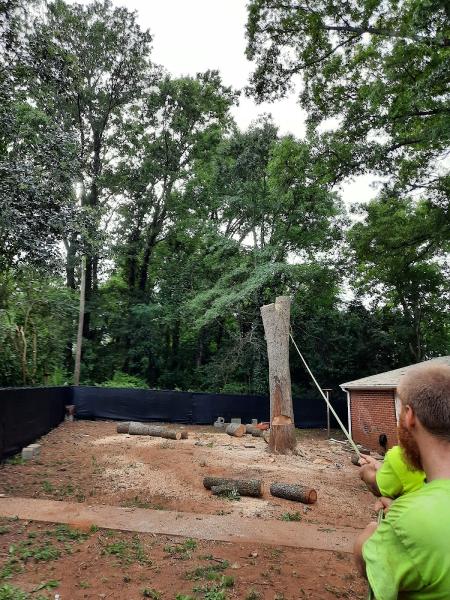 Lumberjack Tree Experts