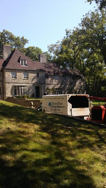 Davis Tree and Stump Services