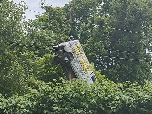 Davis Tree and Stump Services