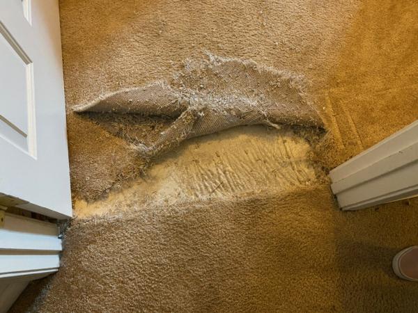 Full Steam Carpet Cleaning