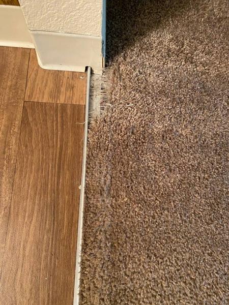 Full Steam Carpet Cleaning