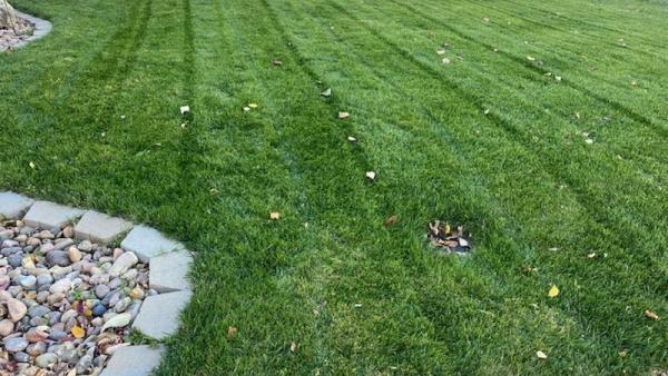 Aarons Lawn Service