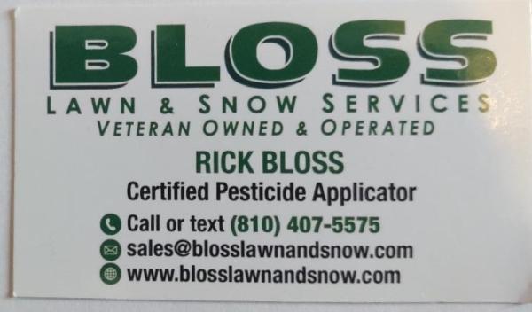 Bloss Lawn and Snow Services