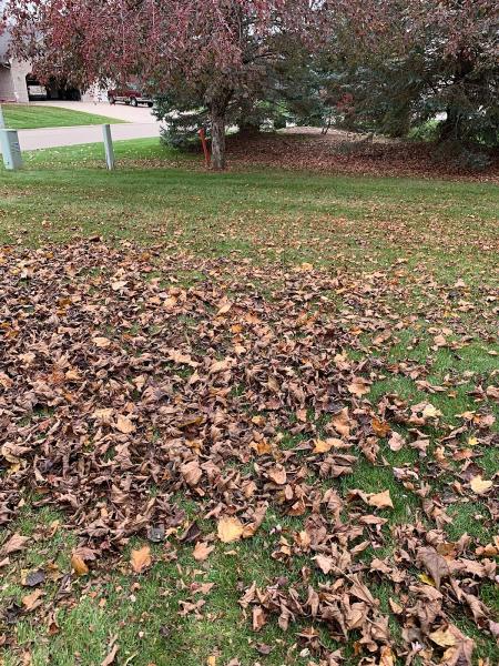 Bloss Lawn and Snow Services