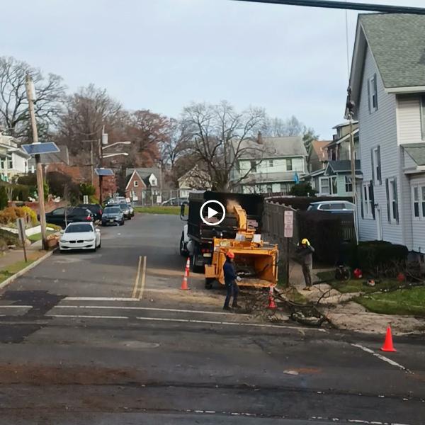 Ticos Tree Service