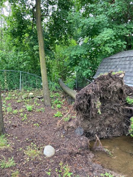 Ticos Tree Service