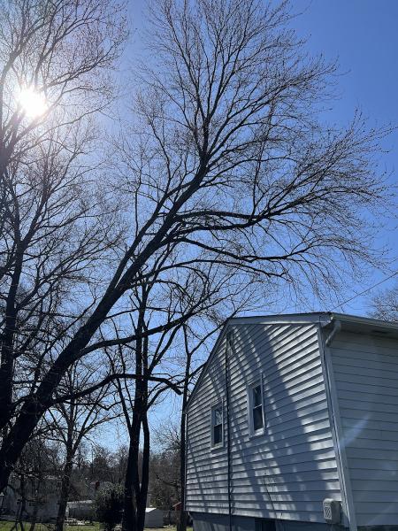 Titan Tree Care