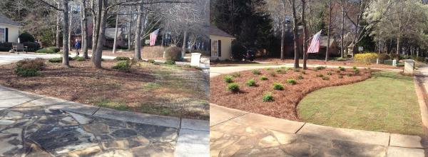 Premier Turf and Landscapes