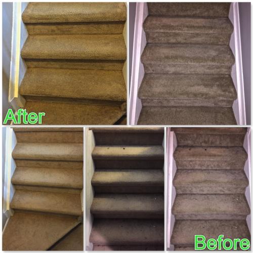 Pure Green Cleaning