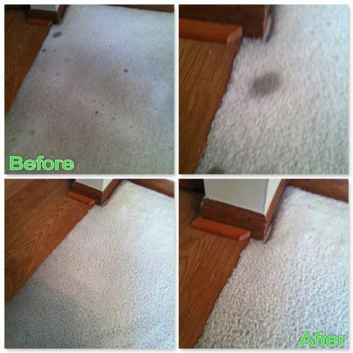 Pure Green Cleaning