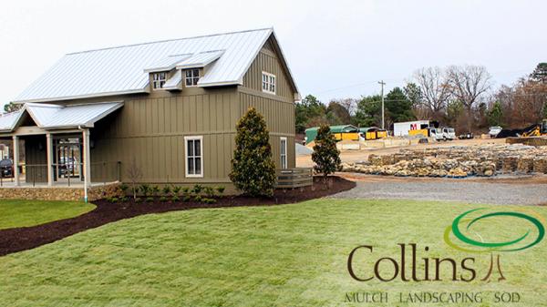 Collins Landscape
