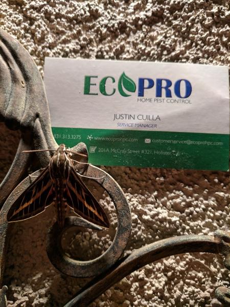 Ecopro Home Pest Control