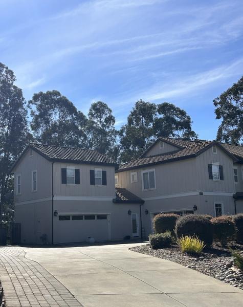 Advanced Pressure Washing and Roof Cleaning