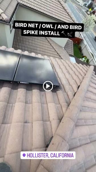 Advanced Pressure Washing and Roof Cleaning