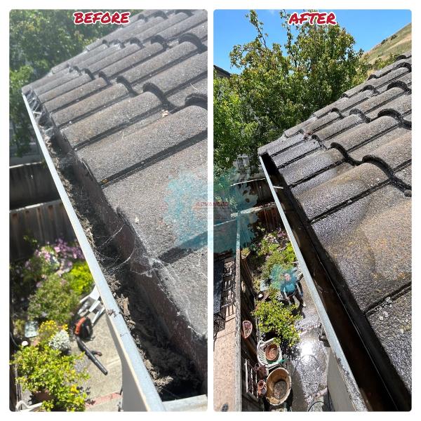 Advanced Pressure Washing and Roof Cleaning