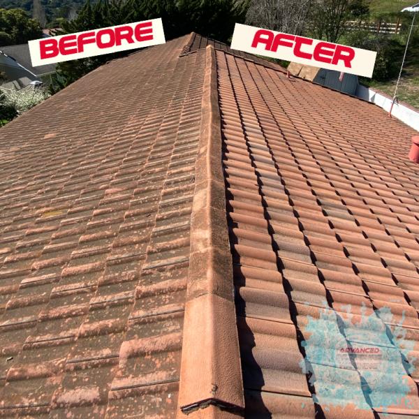 Advanced Pressure Washing and Roof Cleaning