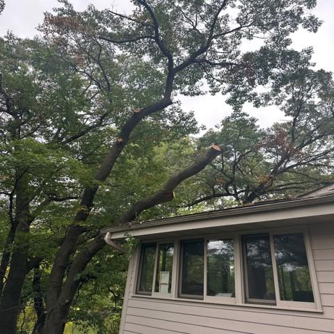 Summit Tree and Roofing