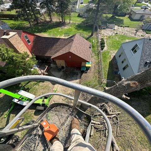 Summit Tree and Roofing