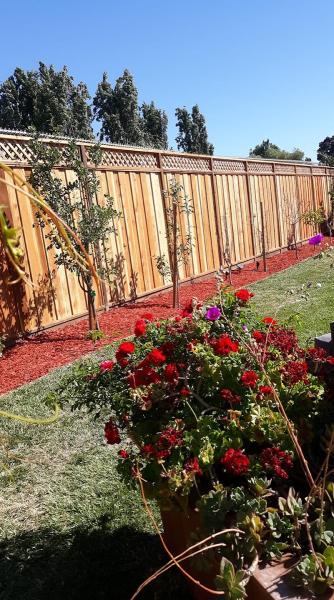 Zef's Landscaping
