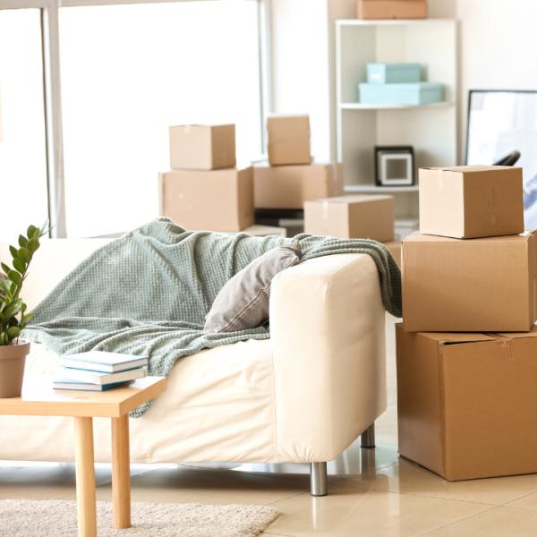Elite Movers Miami FL