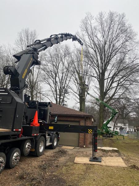 Baird's Tree Service